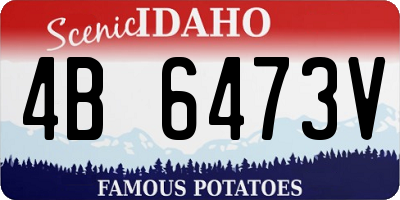 ID license plate 4B6473V