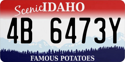 ID license plate 4B6473Y