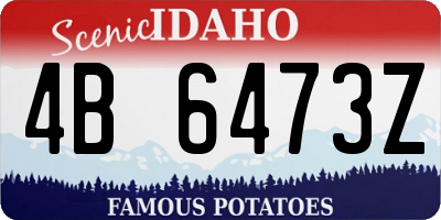 ID license plate 4B6473Z