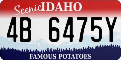 ID license plate 4B6475Y