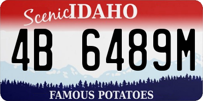 ID license plate 4B6489M
