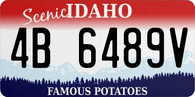 ID license plate 4B6489V