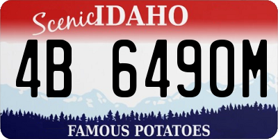 ID license plate 4B6490M