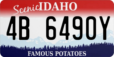 ID license plate 4B6490Y