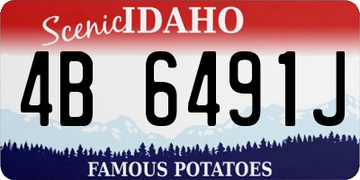 ID license plate 4B6491J