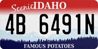 ID license plate 4B6491N