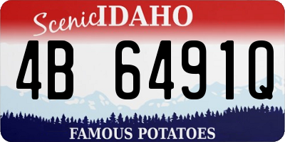 ID license plate 4B6491Q