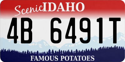 ID license plate 4B6491T