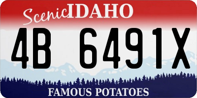 ID license plate 4B6491X