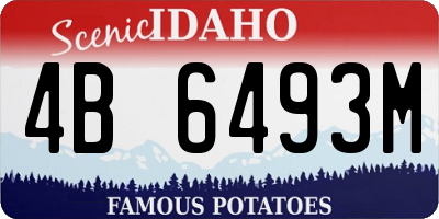 ID license plate 4B6493M