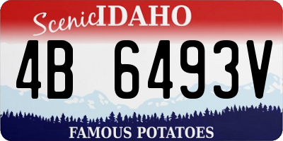 ID license plate 4B6493V