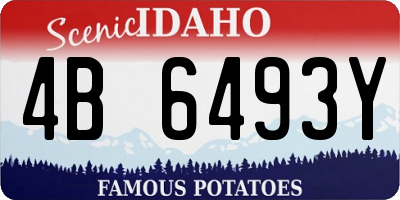 ID license plate 4B6493Y