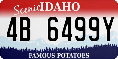 ID license plate 4B6499Y