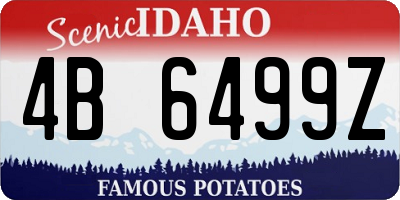 ID license plate 4B6499Z