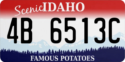ID license plate 4B6513C