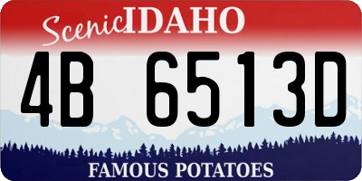 ID license plate 4B6513D