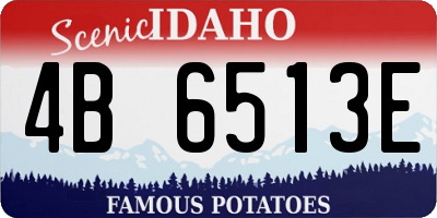 ID license plate 4B6513E