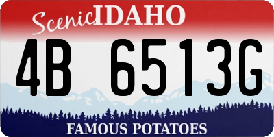 ID license plate 4B6513G