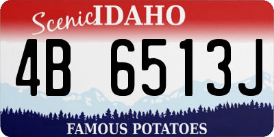 ID license plate 4B6513J