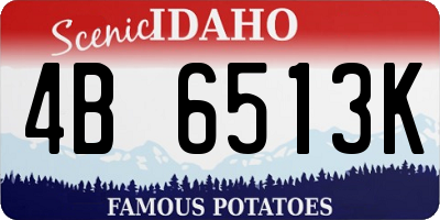 ID license plate 4B6513K