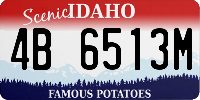 ID license plate 4B6513M