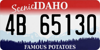 ID license plate 4B6513O