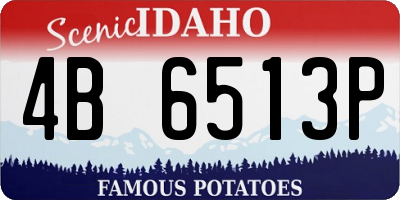 ID license plate 4B6513P