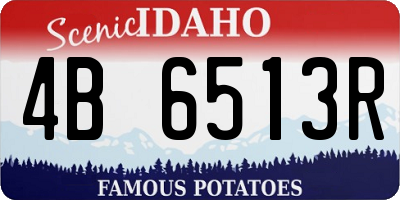 ID license plate 4B6513R