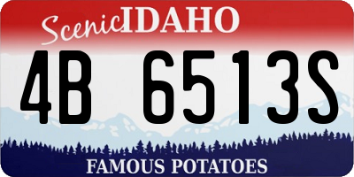 ID license plate 4B6513S