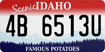 ID license plate 4B6513U