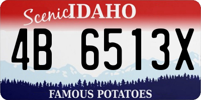 ID license plate 4B6513X