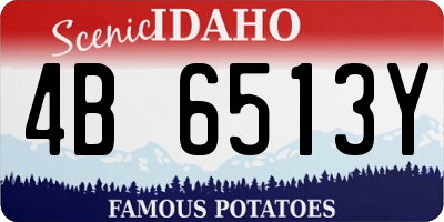 ID license plate 4B6513Y