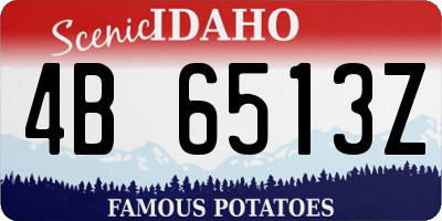 ID license plate 4B6513Z