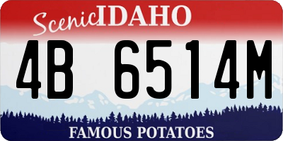 ID license plate 4B6514M