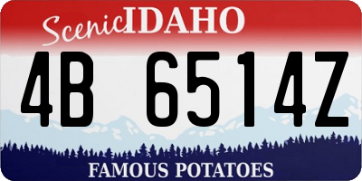 ID license plate 4B6514Z