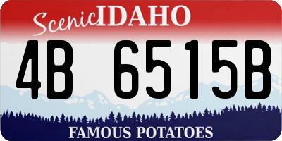 ID license plate 4B6515B