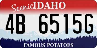 ID license plate 4B6515G