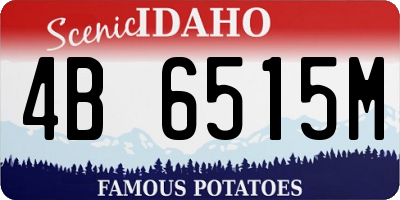 ID license plate 4B6515M