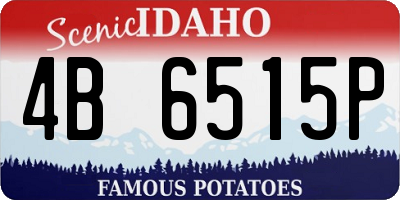 ID license plate 4B6515P