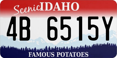 ID license plate 4B6515Y