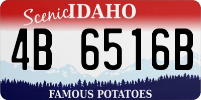ID license plate 4B6516B