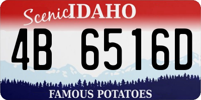 ID license plate 4B6516D