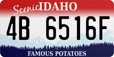 ID license plate 4B6516F