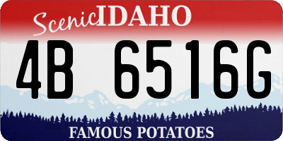 ID license plate 4B6516G