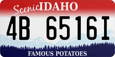 ID license plate 4B6516I