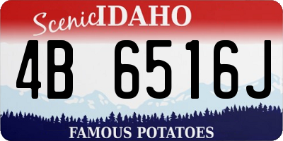 ID license plate 4B6516J