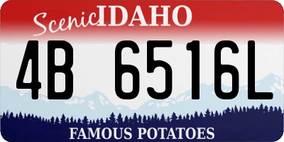 ID license plate 4B6516L