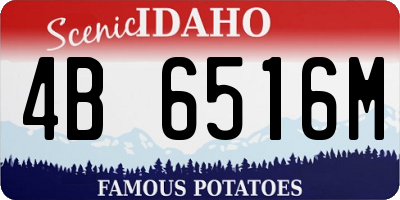 ID license plate 4B6516M