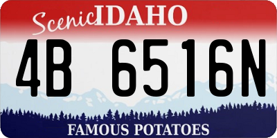 ID license plate 4B6516N