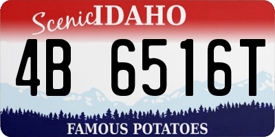 ID license plate 4B6516T